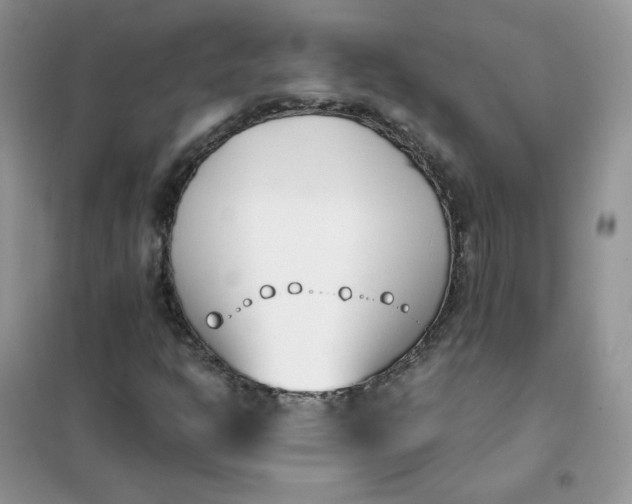 X0000102031302200808011438