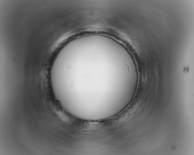 X0000102031304200808011438