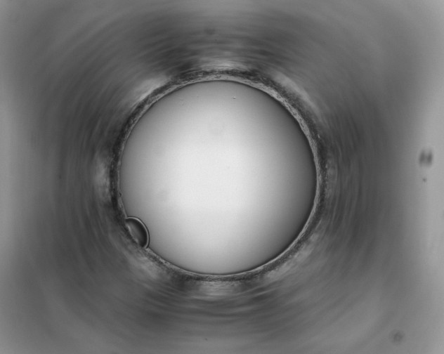 X0000102031305200808011438