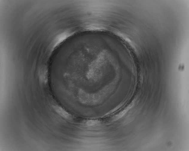 X0000102031306200808011438