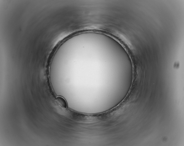 X0000102031308200808011438