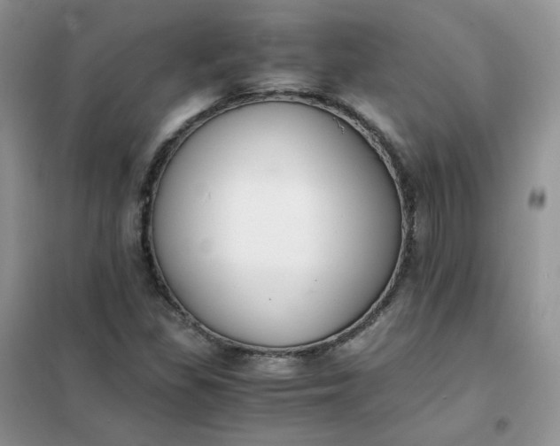 X0000102031309200808011438