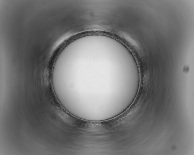 X0000102031310200808011438