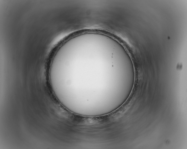 X0000102031311200808011438