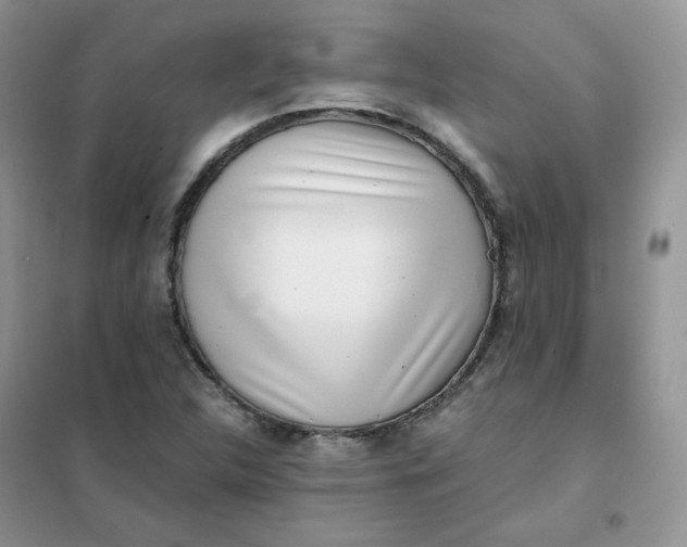 X0000102031312200808011438