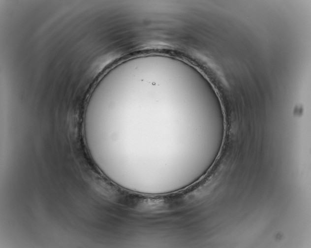 X0000102031313200808011438