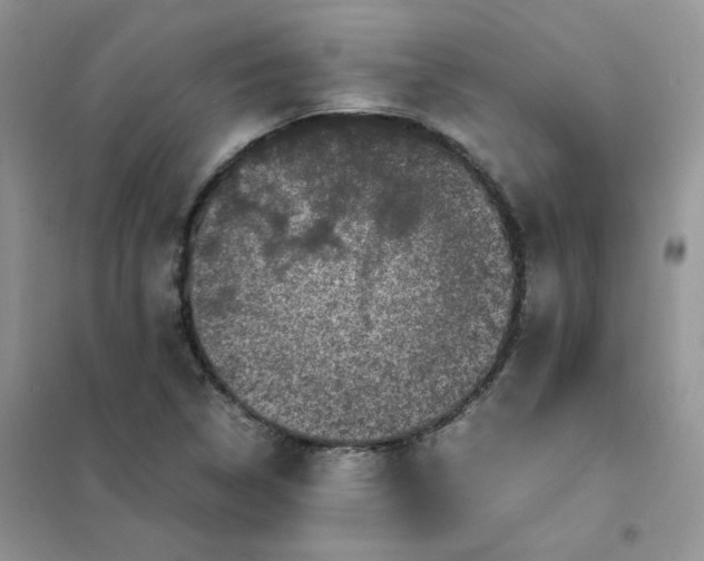 X0000102031314200808011438