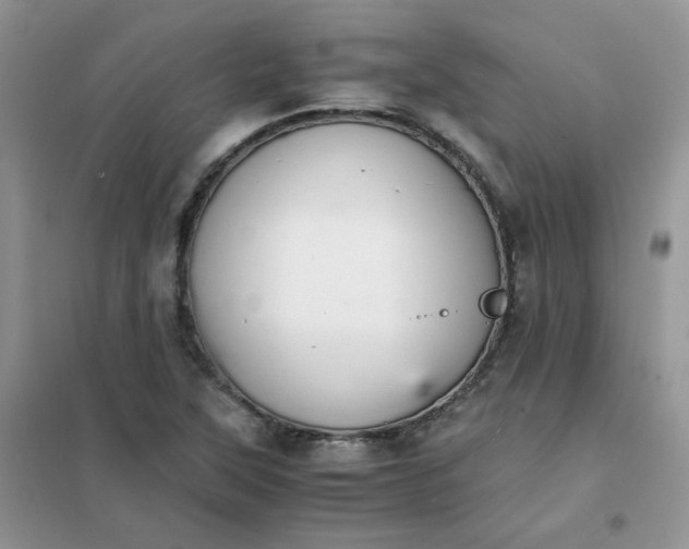 X0000102031315200808011438