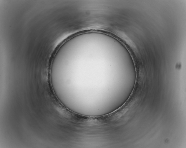 X0000102031316200808011438