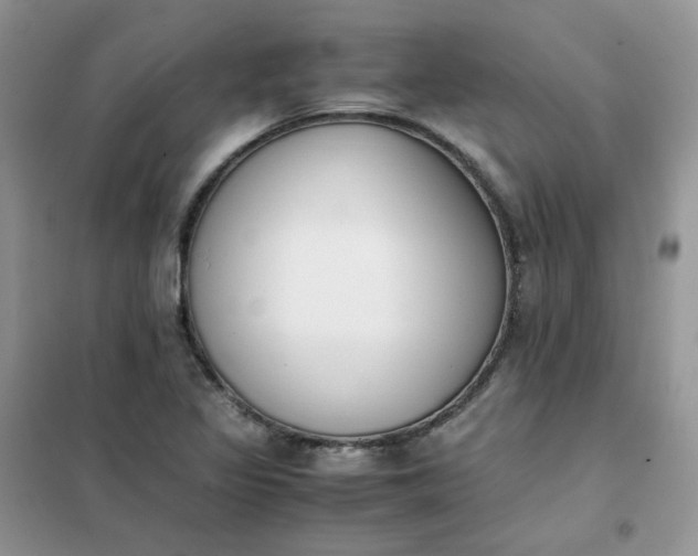 X0000102031317200808011438