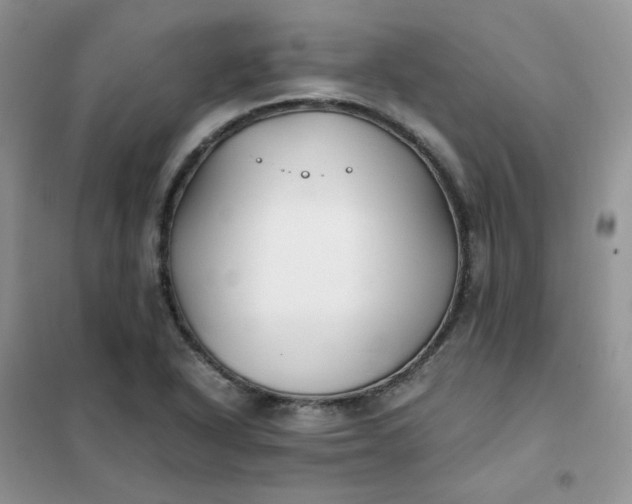 X0000102031318200808011438