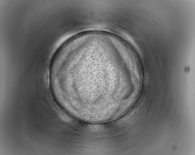 X0000102031320200808011438