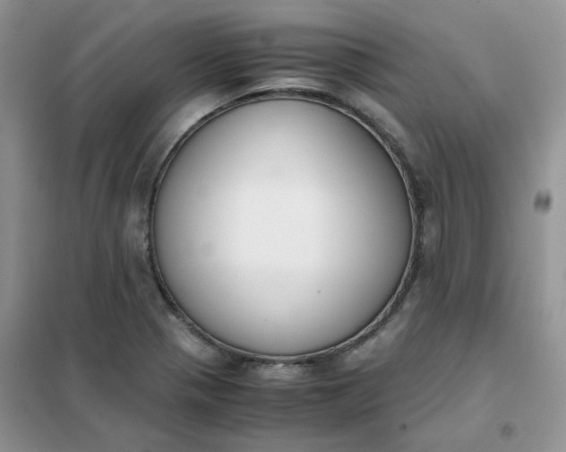 X0000102031321200808011438