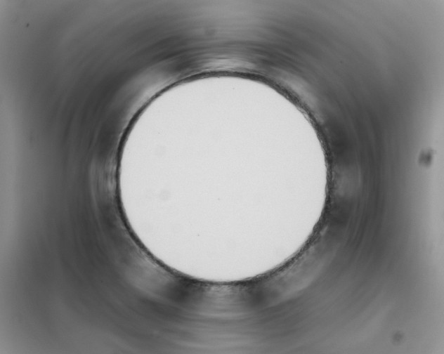 X0000102031322200808011438