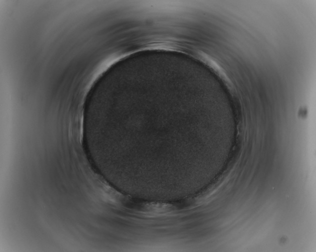 X0000102031323200808011438