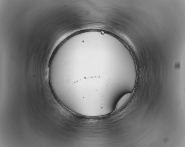 X0000102031324200808011438