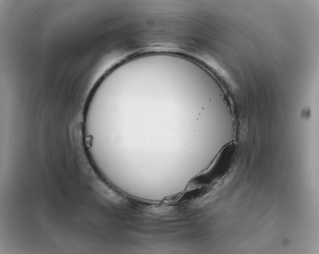 X0000102031325200808011438