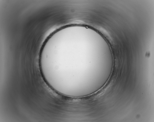 X0000102031326200808011438