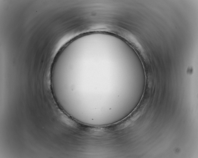 X0000102031328200808011438