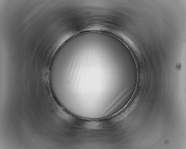 X0000102031329200808011438