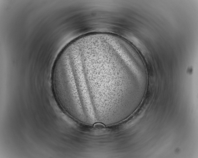 X0000102031331200808011439