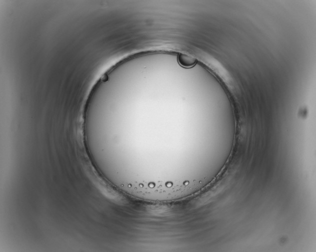 X0000102031332200808011439