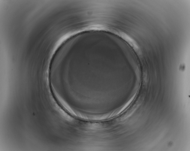 X0000102031334200808011439