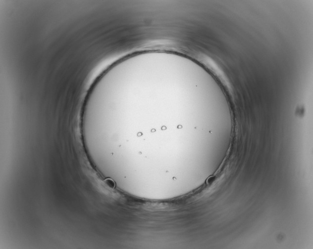 X0000102031336200808011439