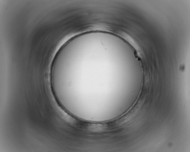 X0000102031339200808011439