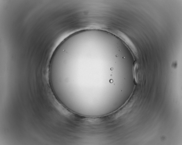 X0000102031340200808011439