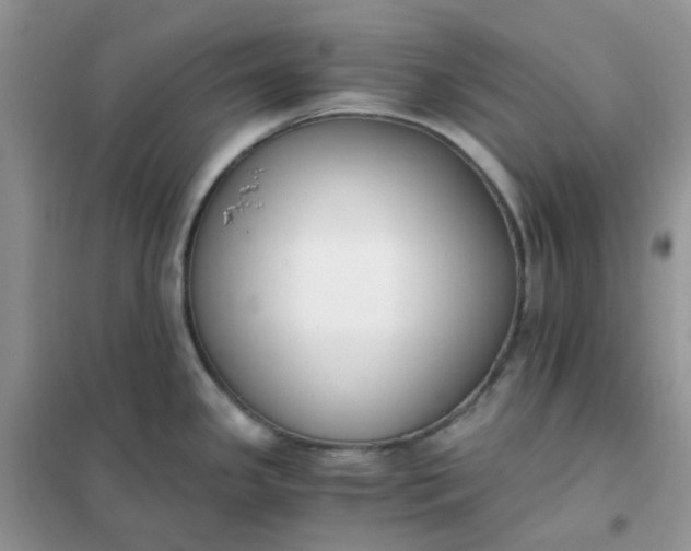 X0000102031341200808011439