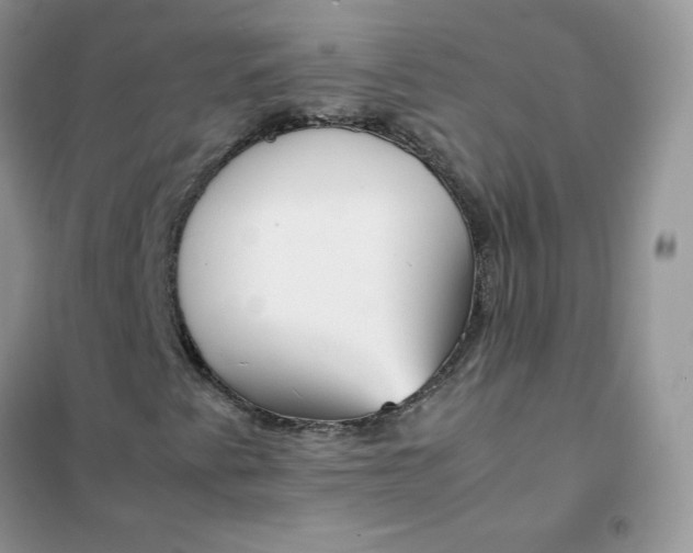 X0000102031345200808011438