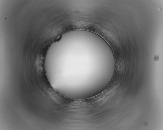 X0000102031346200808011438