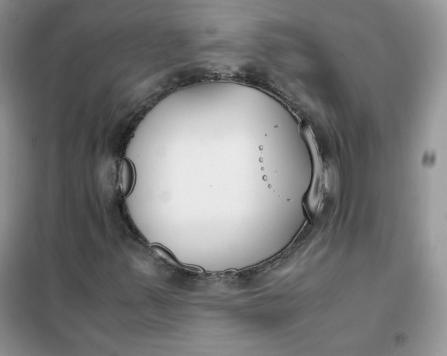 X0000102031347200808011438