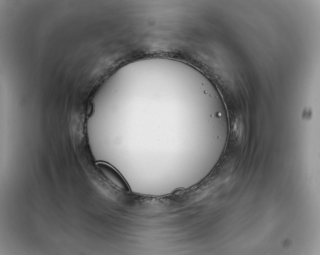 X0000102031348200808011438