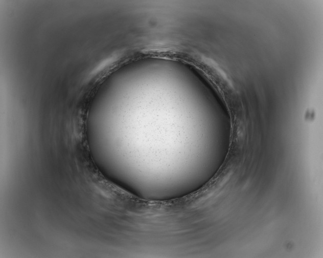 X0000102031350200808011438