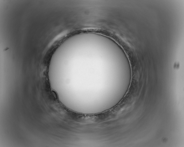 X0000102031351200808011438