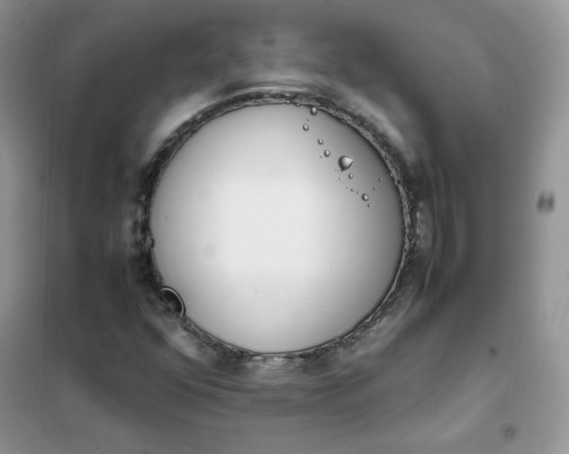 X0000102031352200808011438