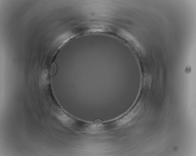 X0000102031353200808011438