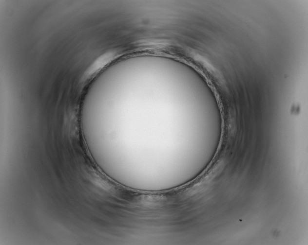 X0000102031354200808011438