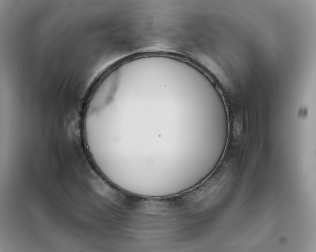 X0000102031356200808011438