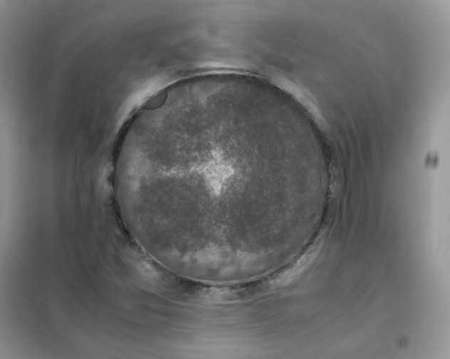 X0000102031357200808011438