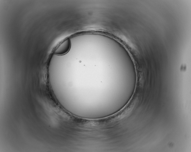 X0000102031358200808011438