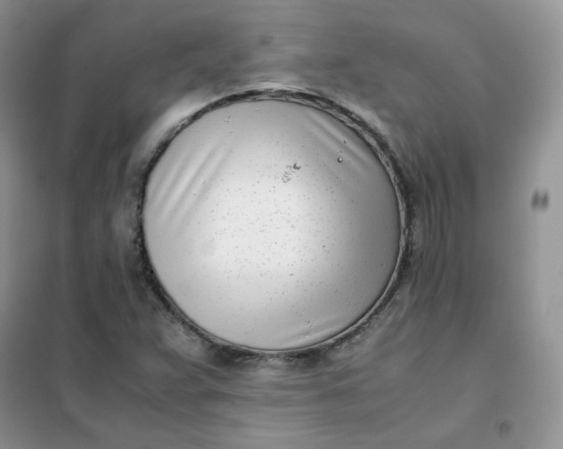 X0000102031359200808011438