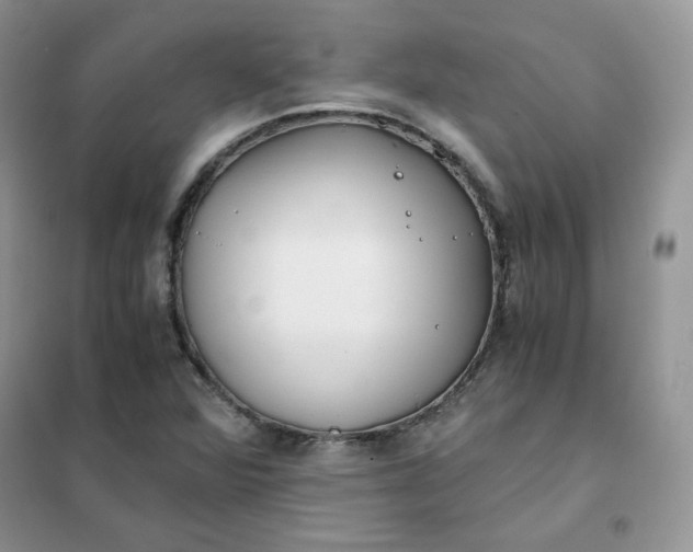 X0000102031360200808011438