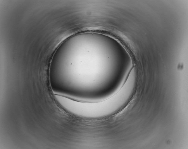 X0000102031361200808011438