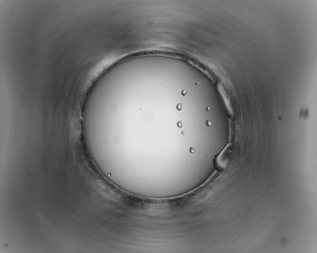 X0000102031363200808011438