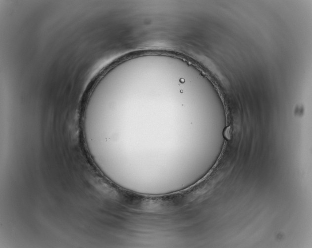 X0000102031364200808011438