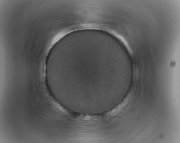 X0000102031365200808011438