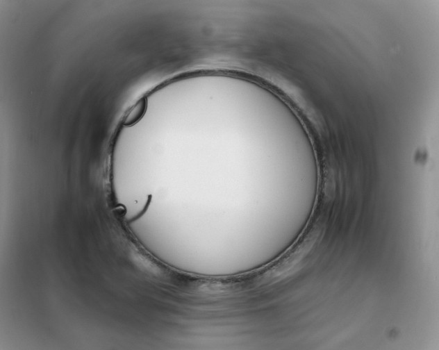 X0000102031366200808011438